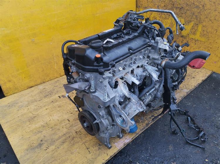Двигатель Хонда Грейс в Бахчисарае 43549