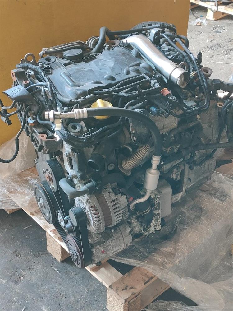 Двигатель Ниссан Х-Трейл в Бахчисарае 50287