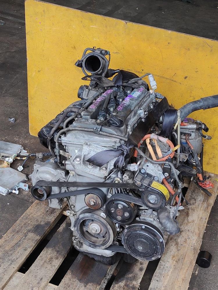 Двигатель Тойота Альфард в Бахчисарае 644931